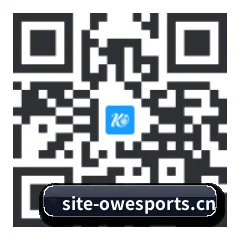 系统版 iOS 二维码